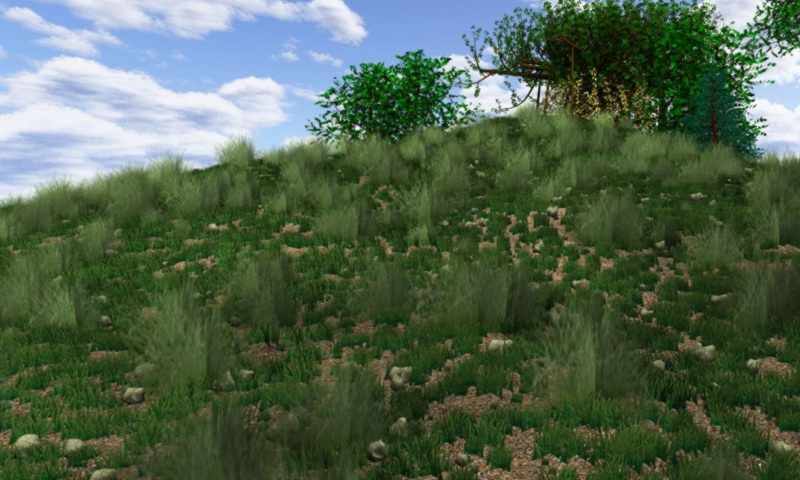 3D rendering of a lush, grassy area. By Rupert Nesbitt.